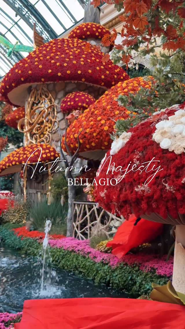 Instagram post by @bucketlistbums for MGM Resorts. Caption reads: The fall setting of Autumn Majesty at the....