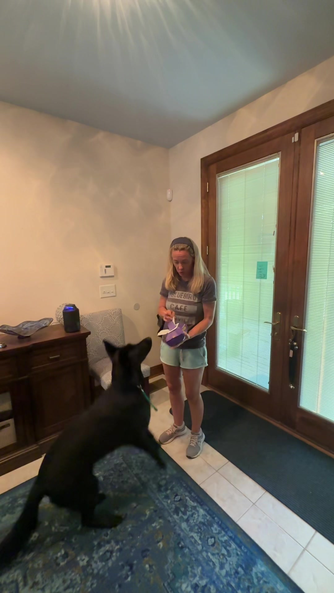TikTok post by @kate.gosselin for HICC Pet. Caption reads: HICC pets grooming gloves are one of my best dog....