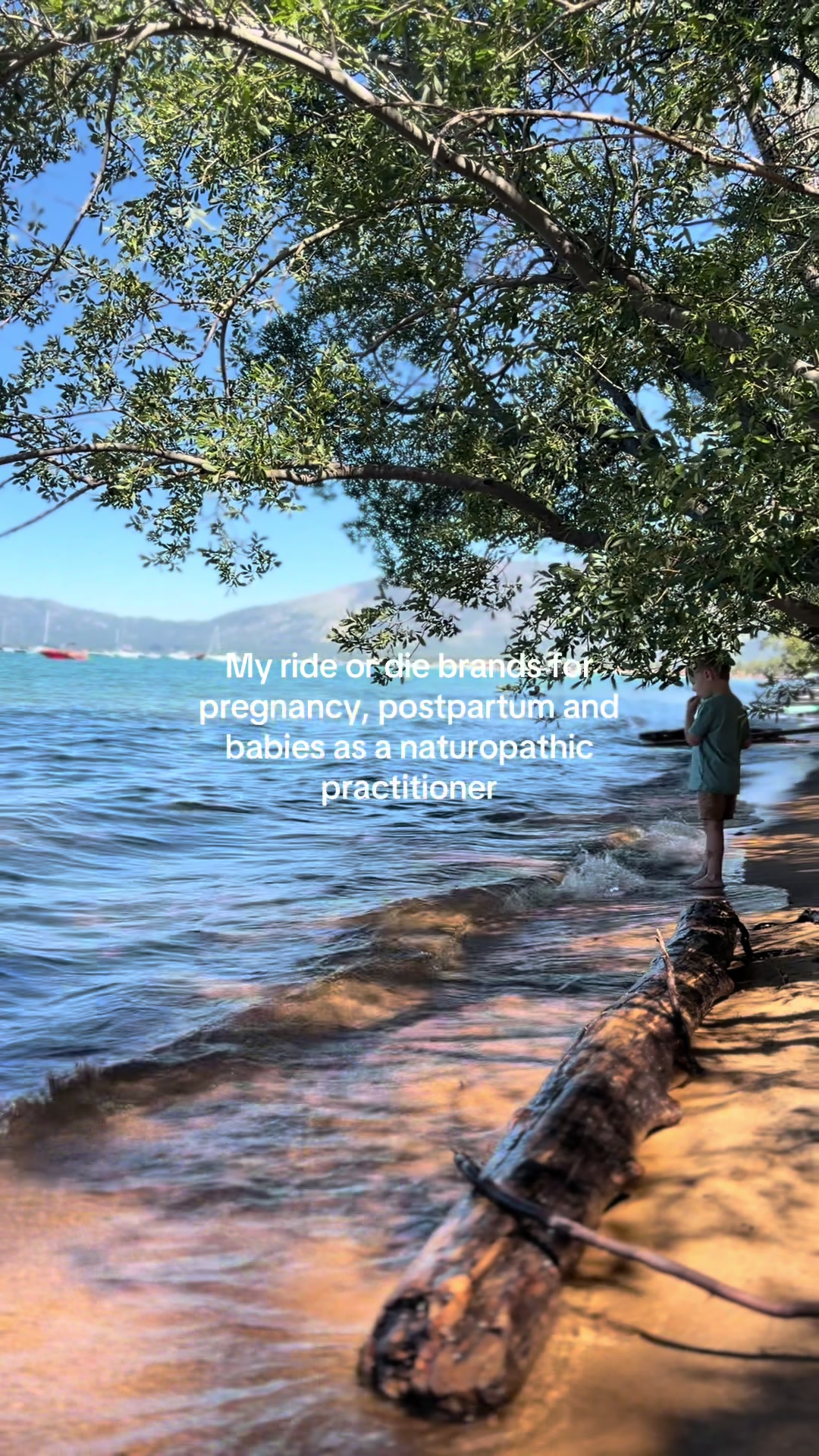 TikTok post by @lowtoxhome for Hyland's Naturals. Caption reads: 1. Primally Pure— pregnancy safe nontoxic skincare....