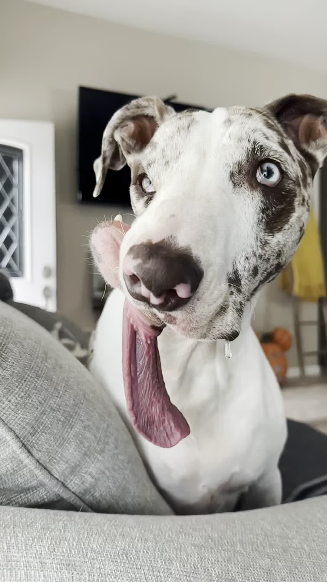 TikTok post by @arrowtotherescue for ACTIVE. Caption reads: [...] standing out to outstanding with @USEACTIVE....