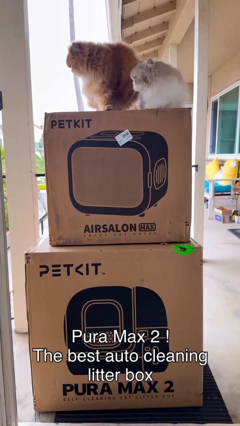 Instagram post by @catnessfluffygreen for Petkit. Caption reads: Pura Max 2 Promo Video ! Thanks @petkitus. Buy....