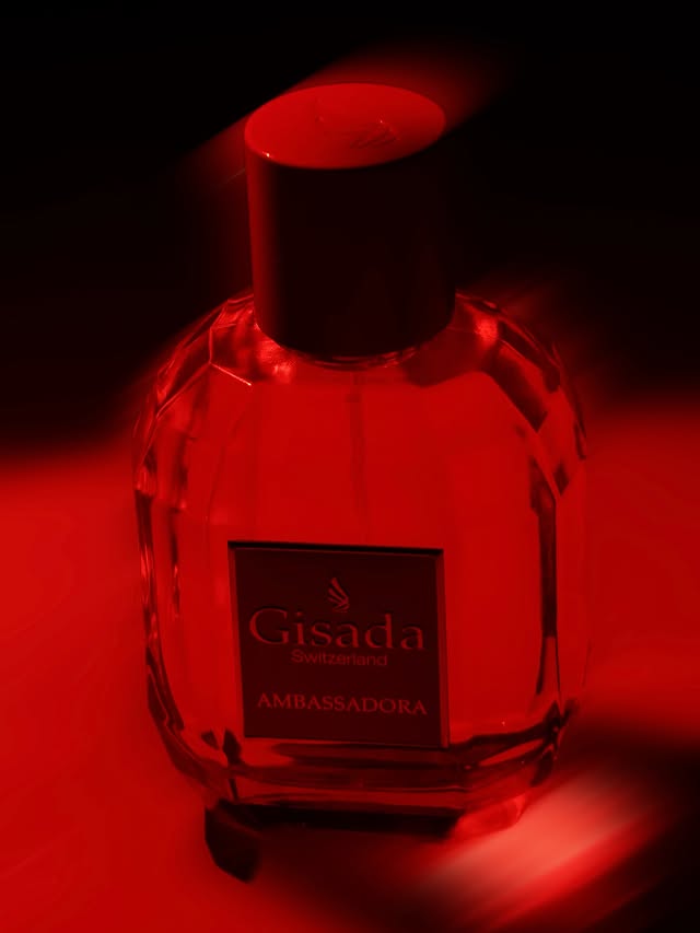 Instagram post by @vicillez for Gisada. Caption reads: Wrapped in red. Powered by passion ❤️....