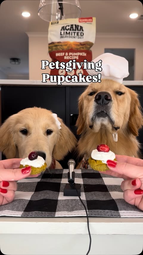 Instagram post by @pearl.the.golden.girl for ACANA Petfoods. Caption reads: Have you ever made your pup a Petsgiving dessert?....