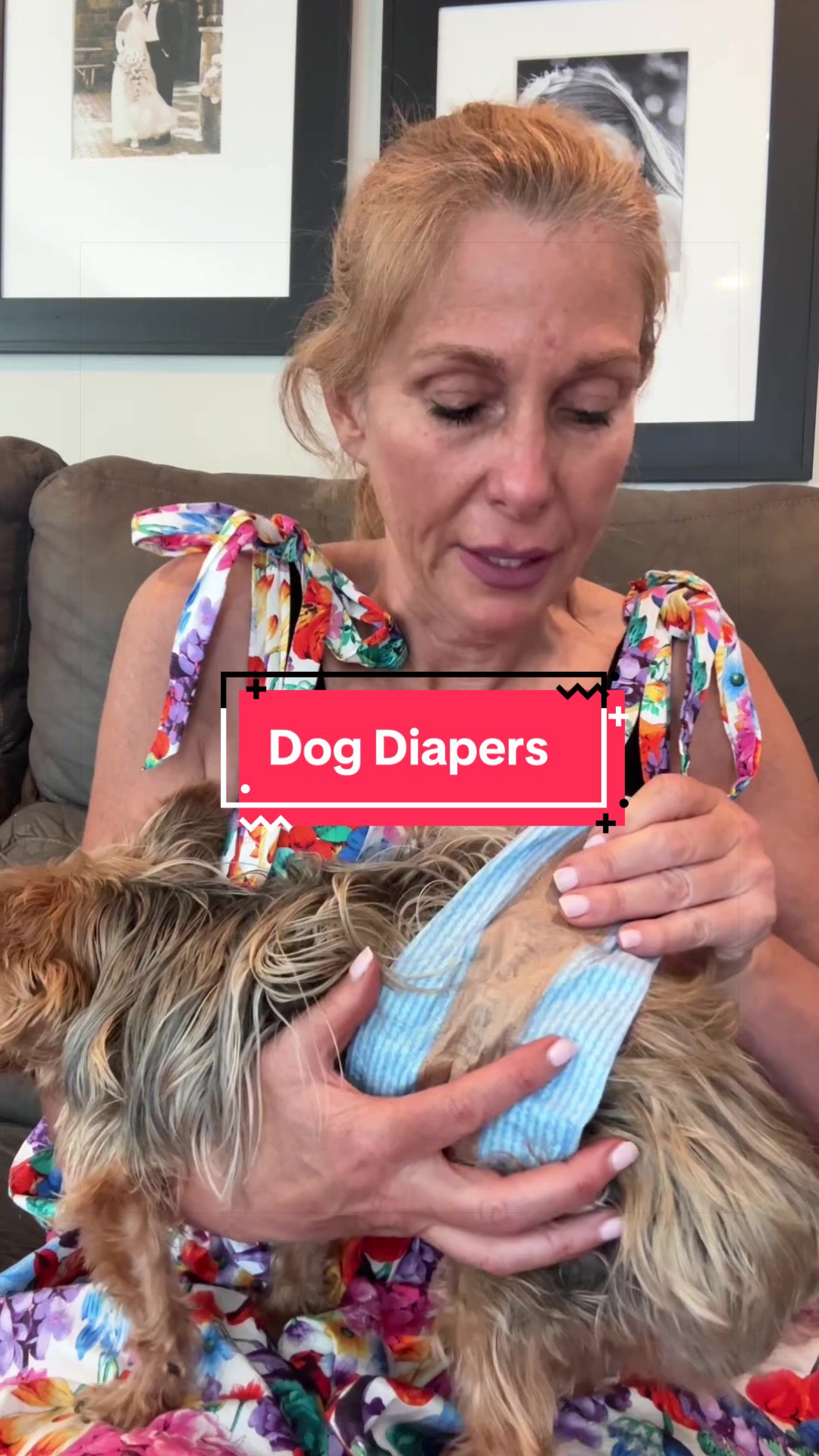 TikTok post by @kristas.kreations for HoneyCarePet. Caption reads: Your fur baby can’t help peeing in the house - Dog....