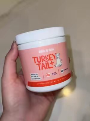 TikTok post by @ashleysfavoriteitems for Fifth & Fido. Caption reads: [...] #dogsupplements #dogs #doghealth @Fifth &....
