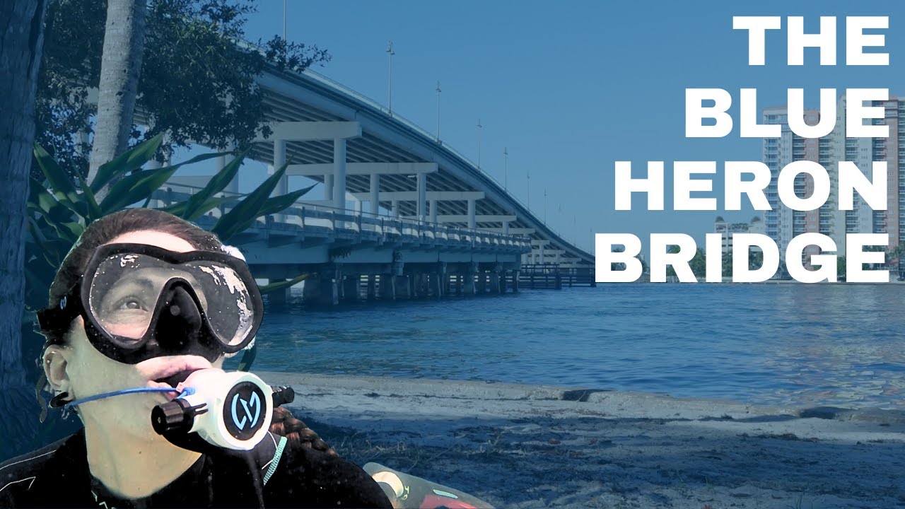 YouTube post by @AzulUnlimited for GOODONYA Organic. Caption reads: Diving the Blue Heron Bridge - A scuba diving road....