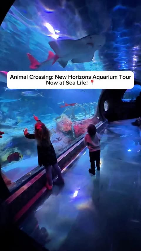Instagram post by @breshell for Sea Life Centre. Caption reads: Animal Crossing: Aquarium Tour is here at SEA LIFE....