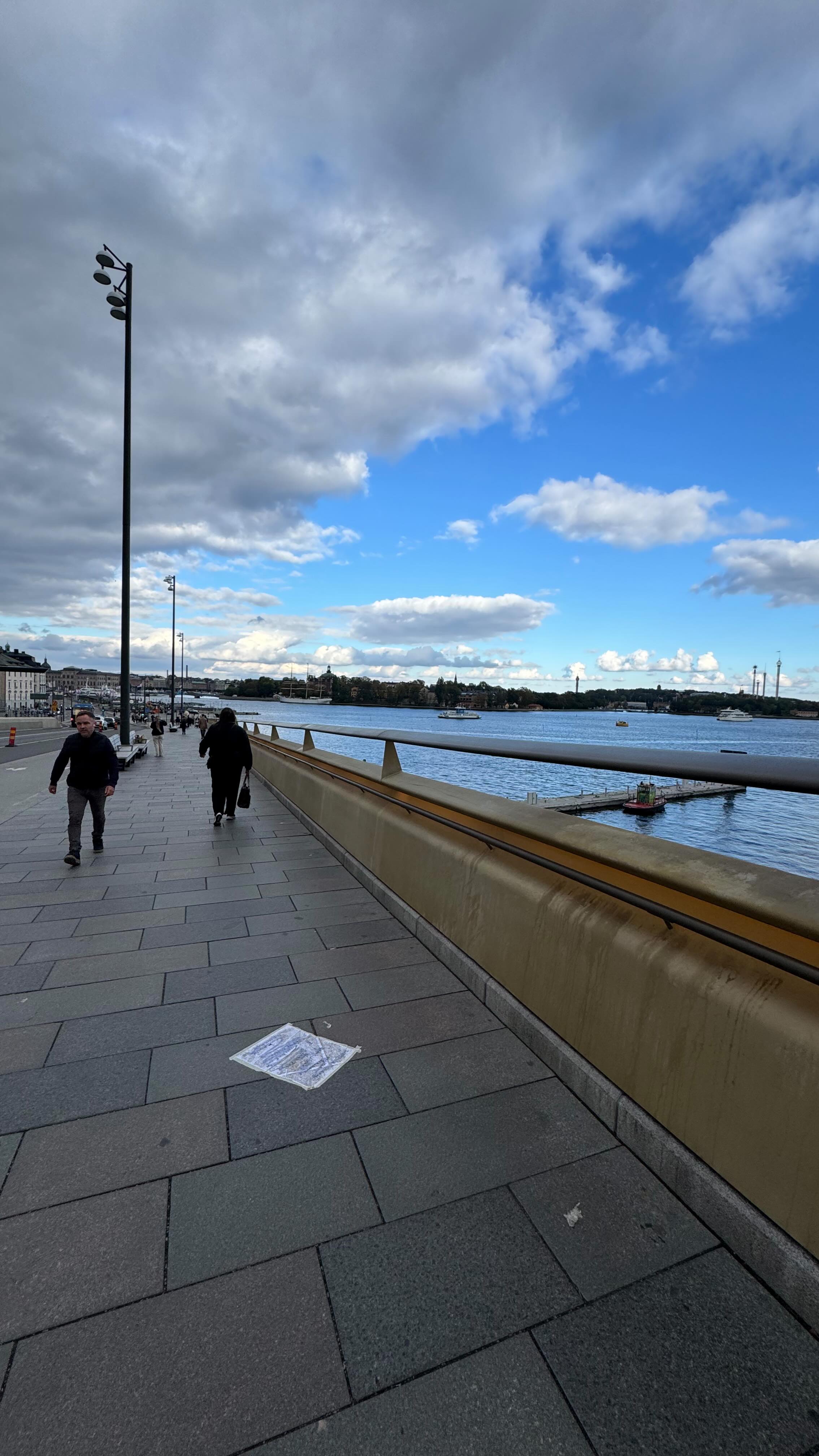Instagram post by @danessyauguste for United Airlines. Caption reads: Flying with @united to Dublin was a dream, and the....