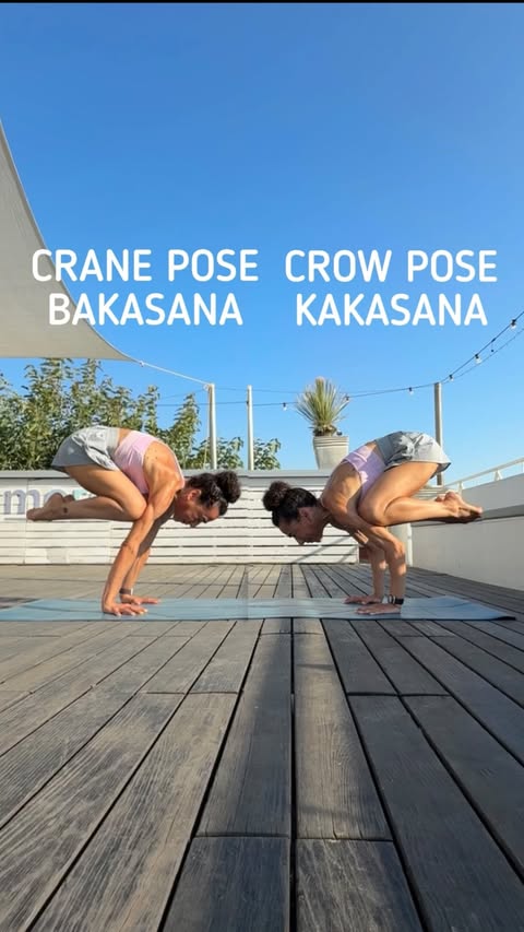 Instagram post by @elenamissyoga for Alo Yoga. Caption reads: Bakasana vs Kakasana 🐦 Today I doubled up to show....