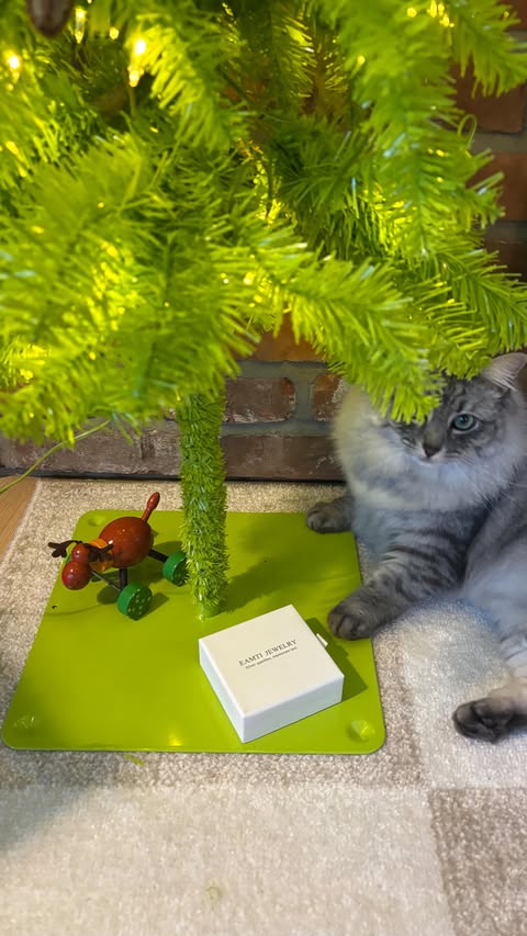 Instagram post by @gardengarb_ for EAMTI Jewelry. Caption reads: [...] but he says no….. that’s where @eamtijewelry....