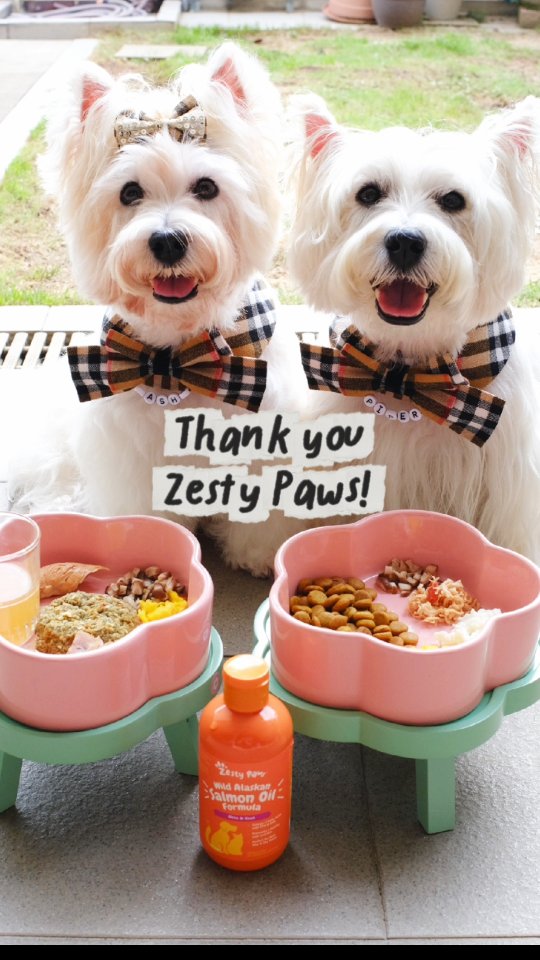 Instagram post by @lomodoggies for Zesty Paws. Caption reads: Pouring the Liquid Gold!💫

Sasha and Piper love....