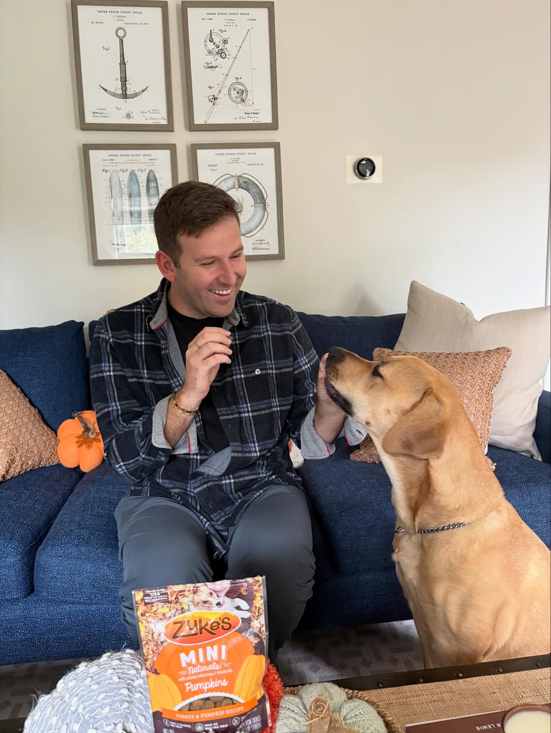 Instagram post by @hayderz for Purina. Caption reads: #ad Getting Turk to cooperate with a photoshoot is....