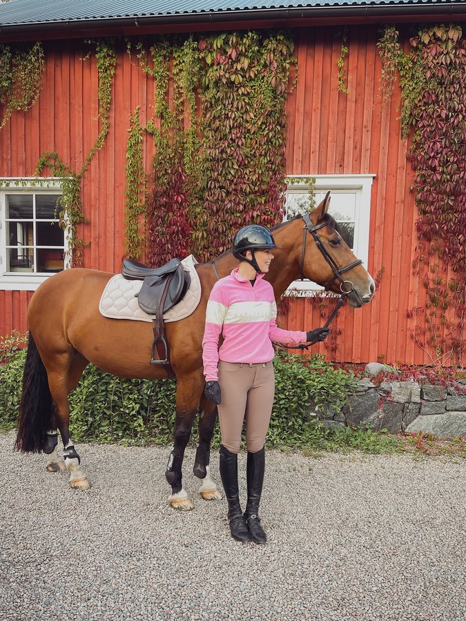 Instagram post by @stalljohannakruse for Pomme. Caption reads: 🩷

.
.
.
#horseofinstagram #horsesoninstagram....