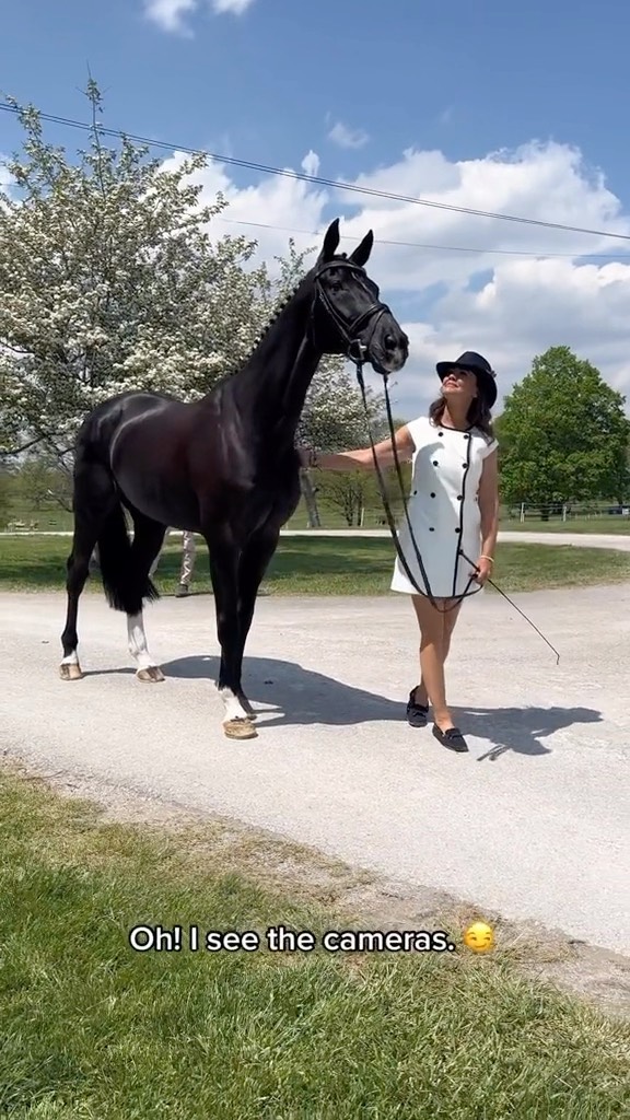 Instagram post by @mai.baum1 for Land Rover USA. Caption reads: “Clearly, I am the best looking gelding around....
