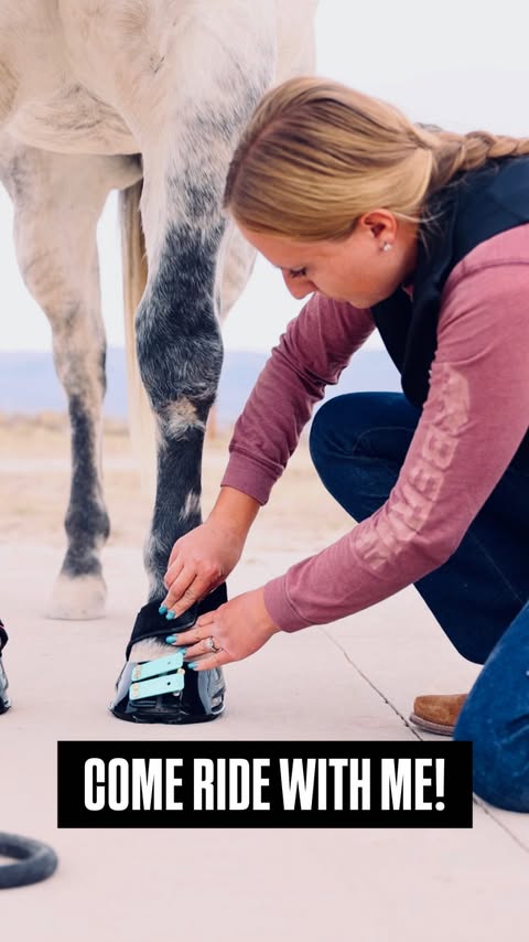 Instagram post by @theequineeducator for Scoot Boots. Caption reads: The new pink gators from Scootboots just dropped....