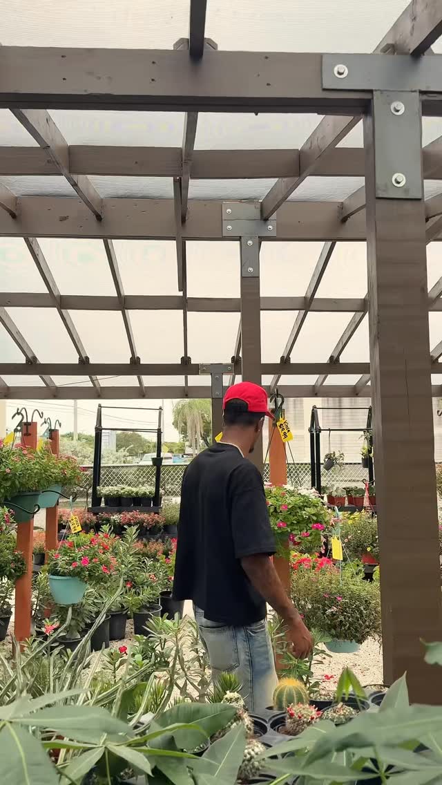 Instagram post by @morefetti_ for Filterbuy. Caption reads: [...] air filter is the perfect combo #ad....