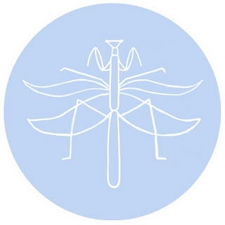 Blue Mantis Swim