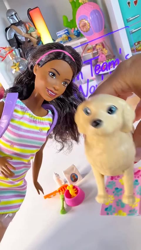 Instagram post by @dreamteamsworld for Barbie. Caption reads: Barbie Newborn Pups #barbie #asmr....