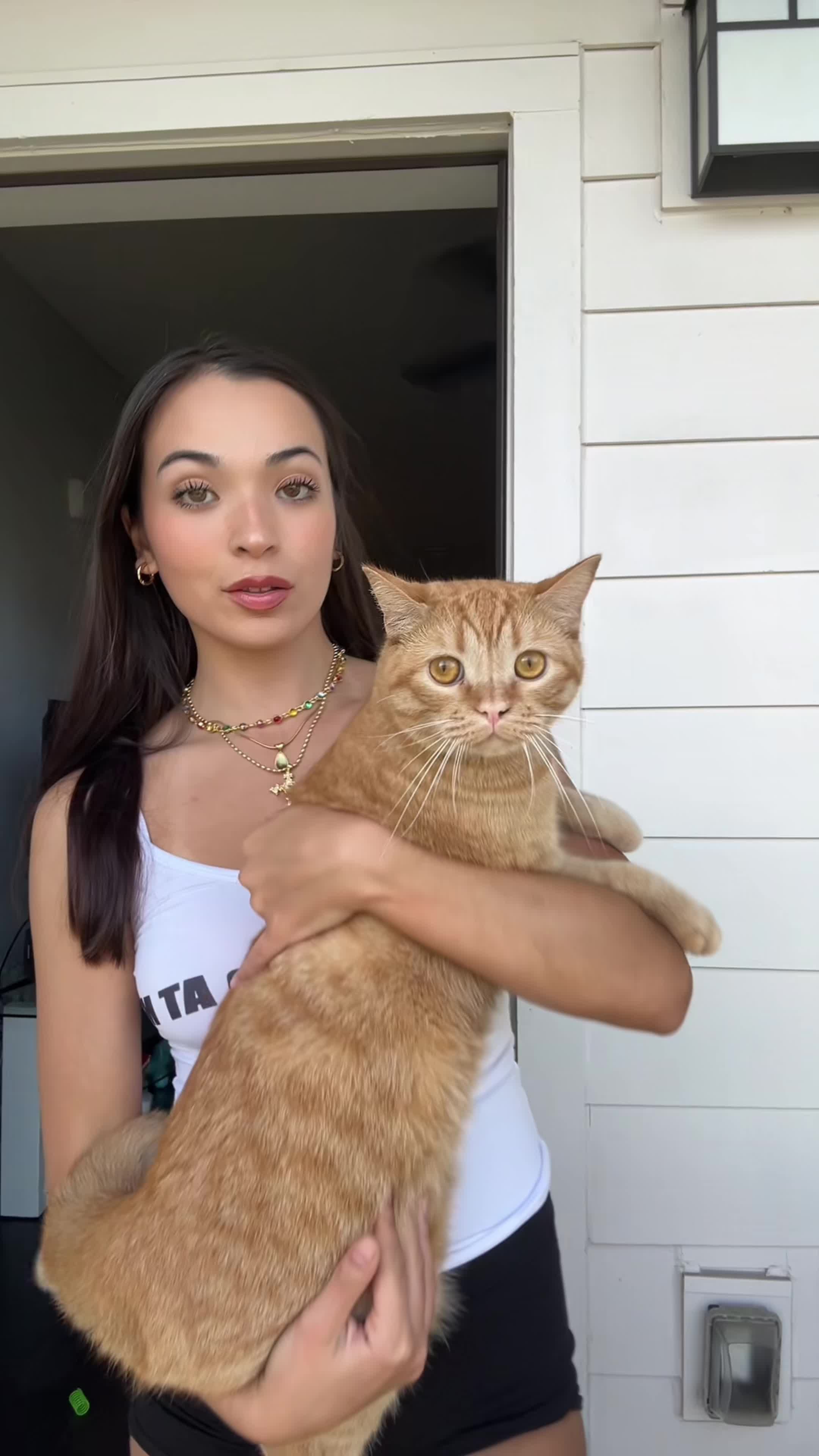 TikTok post by @katelynharuko for Prettylitter. Caption reads: My cat Shiesty and I switched to PrettyLitter and....