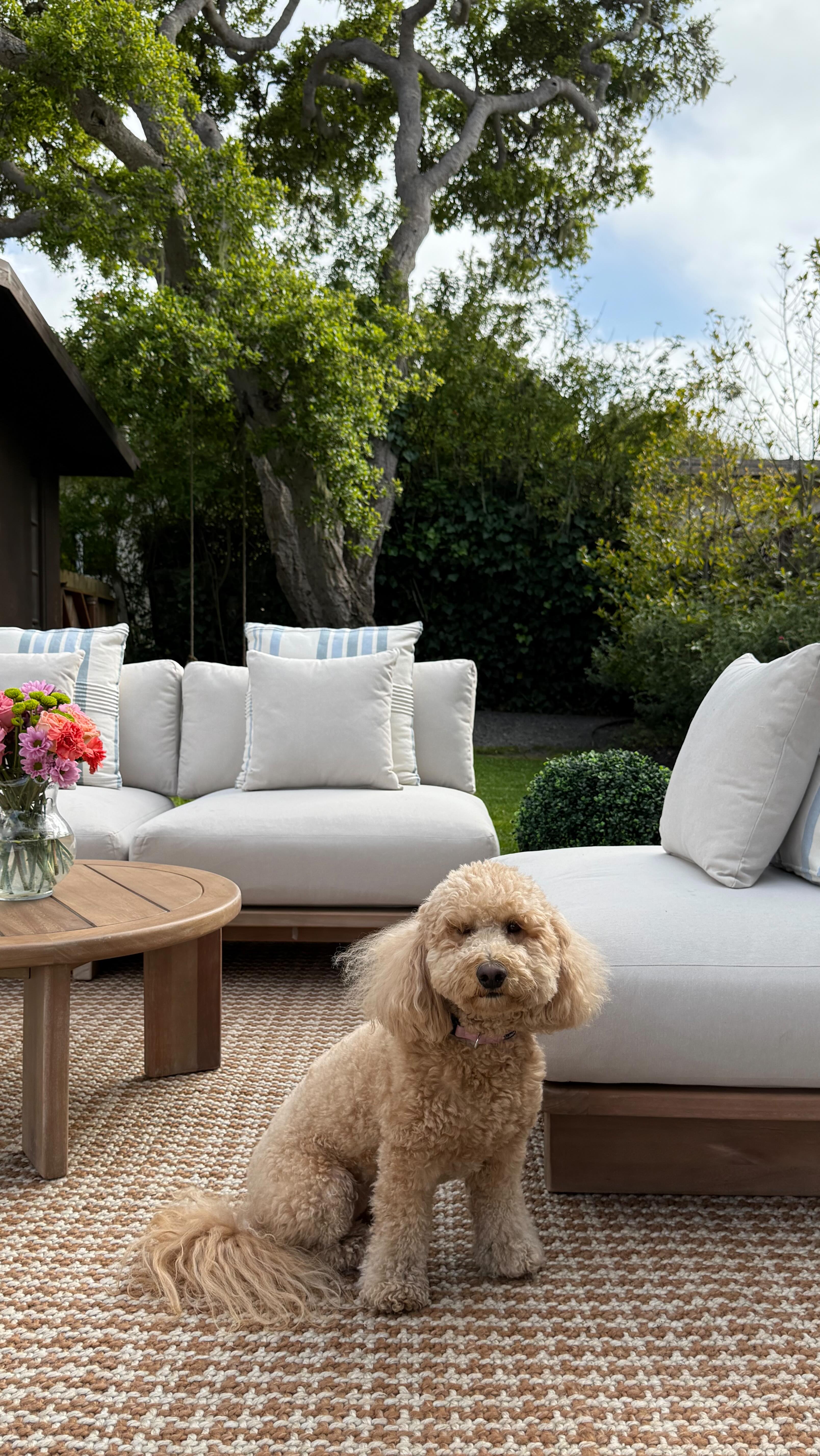 Instagram post by @kismet_house for Article. Caption reads: I will admit- creating an outdoor oasis during a....