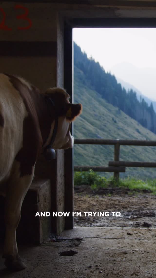 Instagram post by @valdinon for Visit Trentino. Caption reads: Ever wondered who’s behind the taste of Trentino’s....