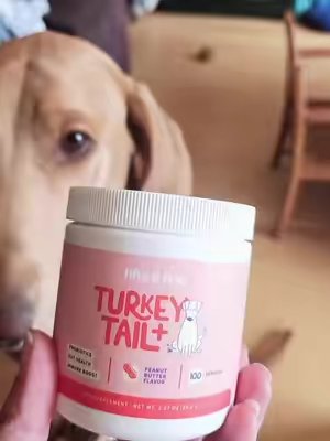 TikTok post by @trelaina.jo for Fifth & Fido. Caption reads: [...] like you would yourself with this @Fifth &....