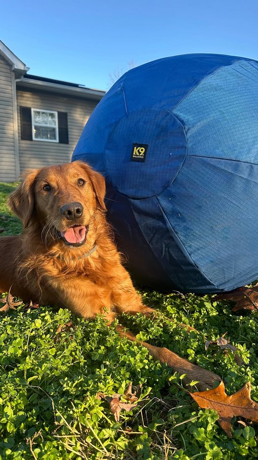Instagram post by @thesupercolliesmom for K9 Ballistics. Caption reads: [...] the giant ball, big thank you to....