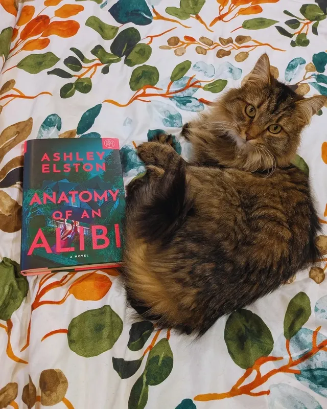 Instagram post by @travelbugbooks for Viking Books. Caption reads: QOTD: What's the first mystery or thriller you....