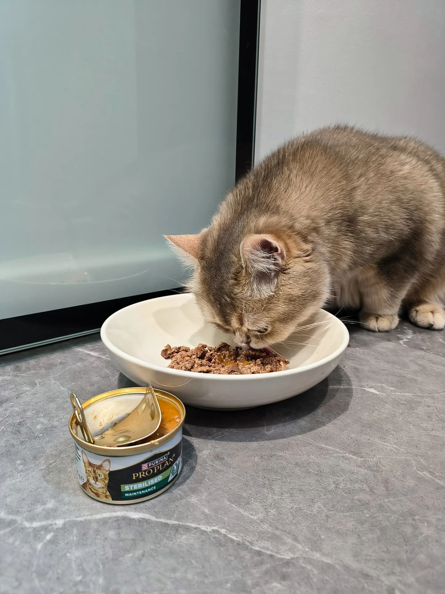 Instagram post by @monsiaaa for Purina Polska. Caption reads: #współpracareklamowa dla @purinapolska

Cześć....