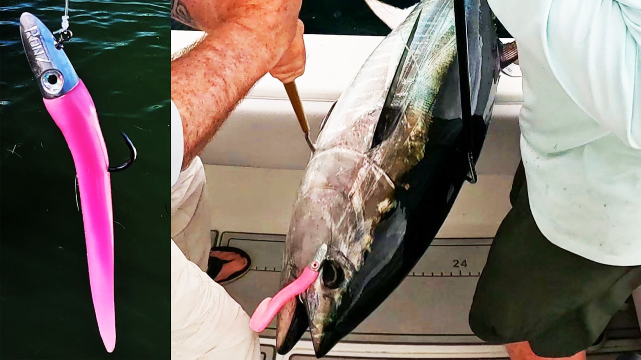 YouTube post by @JohnSkinnerFishing for LiTime. Caption reads: [...] Bag: (10% off with code JSF) Save 10% on....