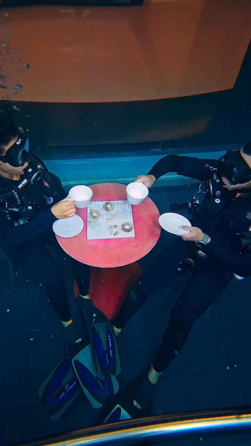 Instagram post by @aureliestory for Viator. Caption reads: Would you dive in the world’s deepest pool? 🤿🦈....