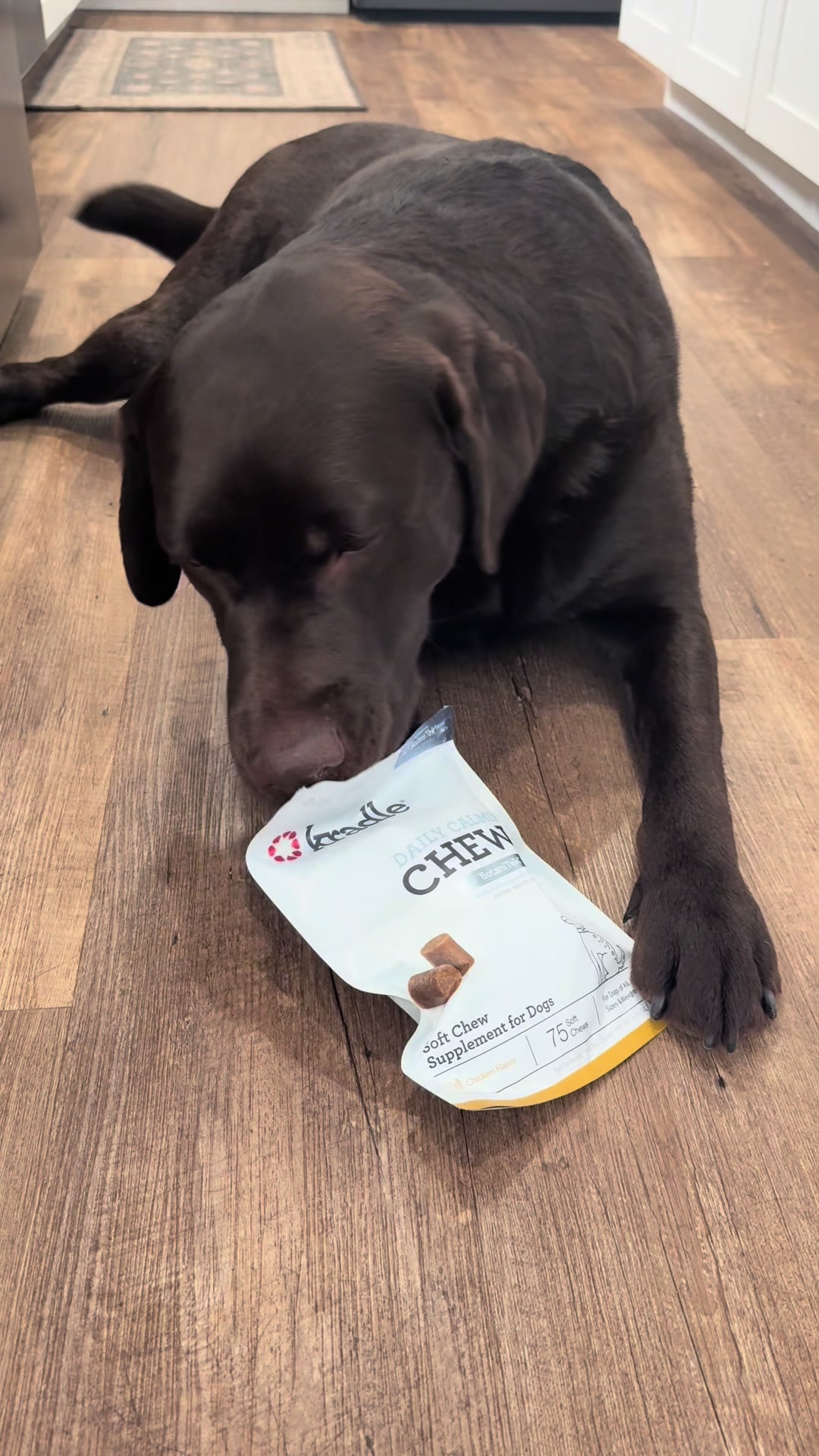 TikTok post by @briceytimberpav for Kradle. Caption reads: Adding @Kradle calming chews into Timber’s routine....