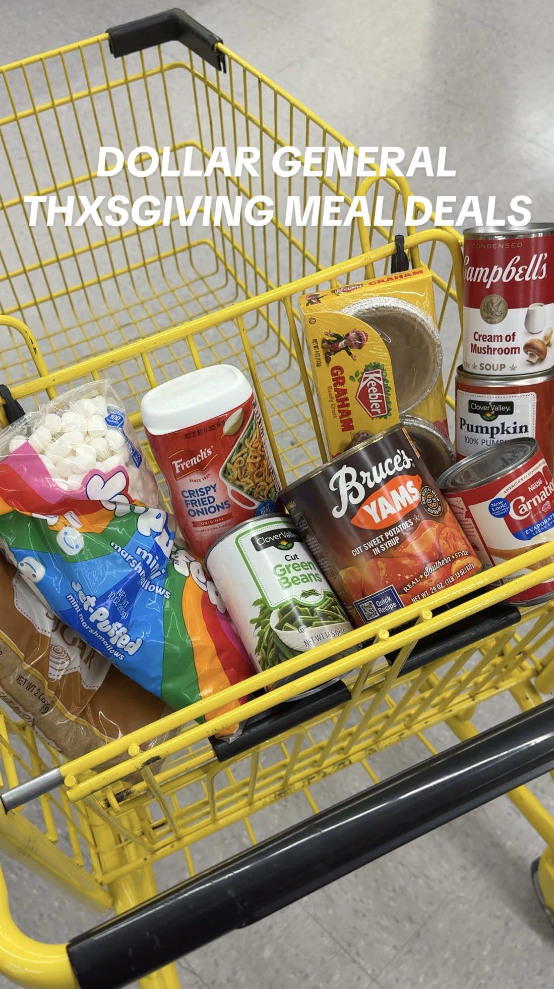 TikTok post by @couponingwithtina for Dollar General. Caption reads: Holiday meals made easy and affordable @Dollar....