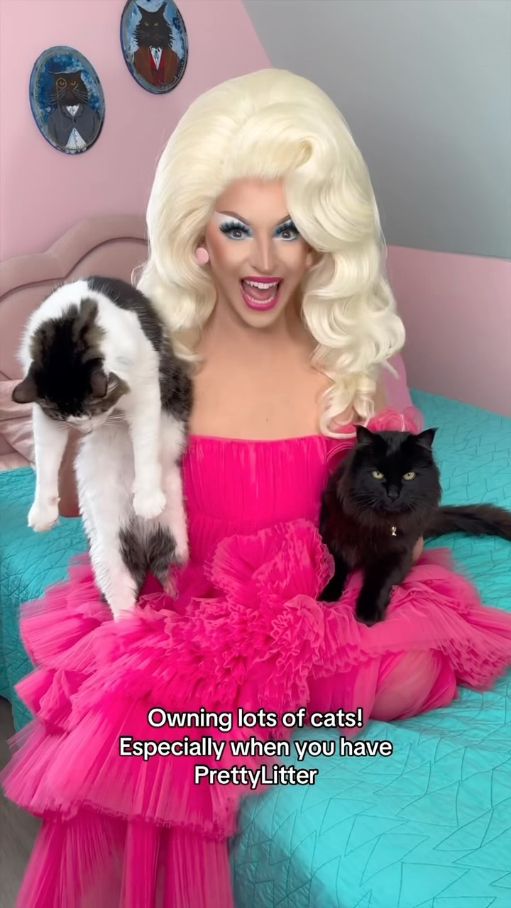 Instagram post by @miz_cracker for Prettylitter. Caption reads: Dating is tough. Cats are easy! Especially when....