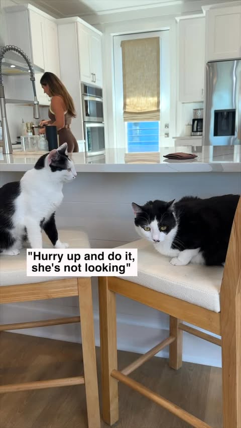 Instagram post by @ian.and.ana for Chase. Caption reads: [...] Airways Visa Signature® Credit Card from....