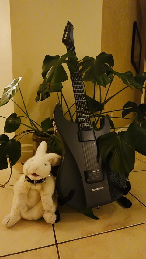 Instagram post by @badluckbunnyy for Aeroband. Caption reads: ★ gift of a rockstar from @aerobandofficial....