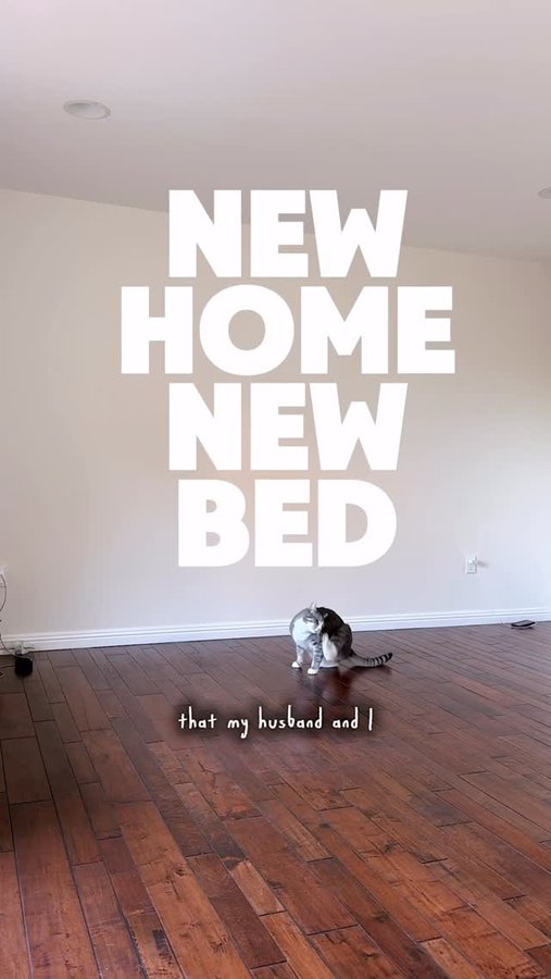 Instagram post by @she_teaches_fifth for Helix Sleep. Caption reads: New bed, who dis? But actually. I feel like a new....