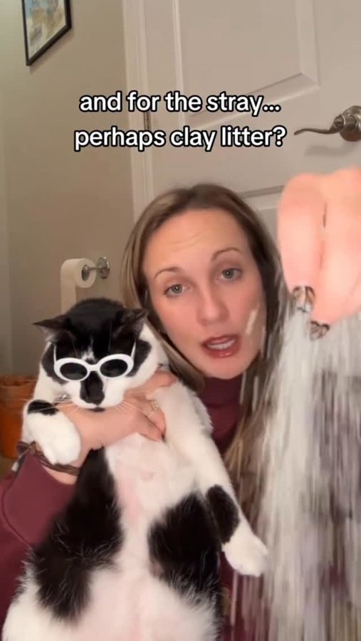 Instagram post by @mibicket for PrettyLitter. Caption reads: You wanna talk about motheerrssssss?? 🗣️ 

#ad....