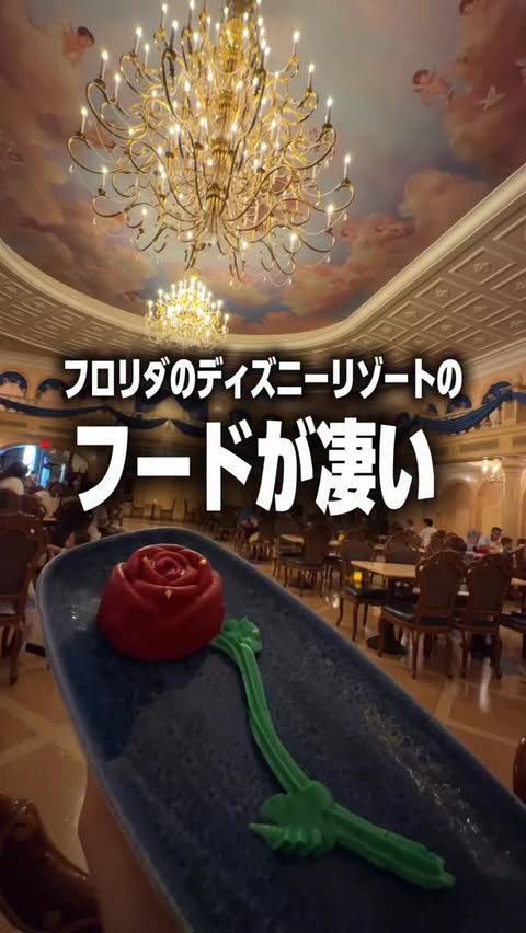 Instagram post by @kiyokawakarin for Walt Disney World. Caption reads: [...] #ウォルトディズニーワールド #フロリダ #フロリダディズニー....