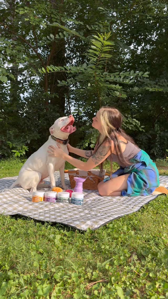 Instagram post by @wethreepitties for Fera Pets. Caption reads: Life these days 🤍 

On top of losing Sheba, Riot....