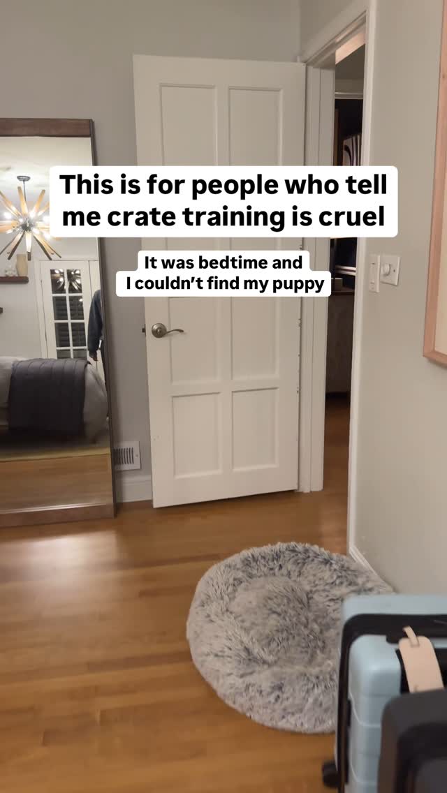 Instagram post by @that.dood.knox for Diggs. Caption reads: Crate training IS NOT CRUEL 👏🏻

I’ll admit. I....