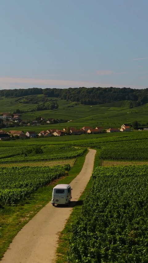 Instagram post by @radissonblubordeaux for Radisson. Caption reads: [...] exploring the Champagne Route from....