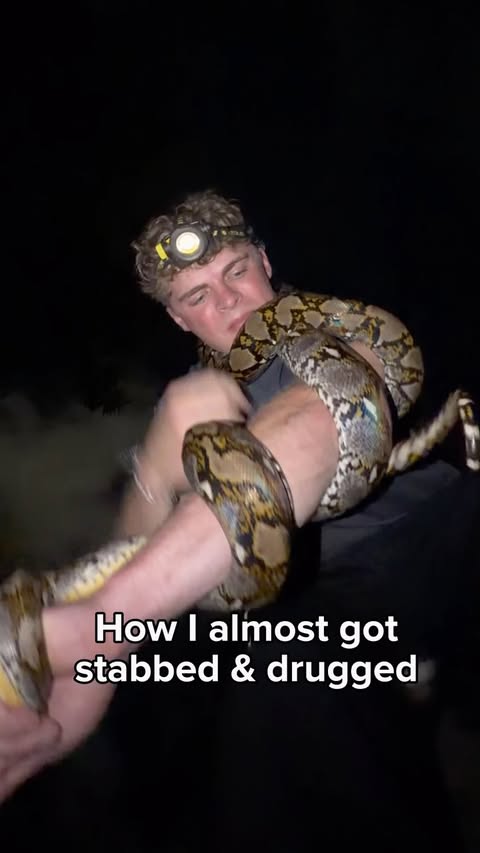 Instagram post by @kingcoltyy for C4 Energy. Caption reads: [...] the snakes im trying to find 🐍😂 @c4energy....