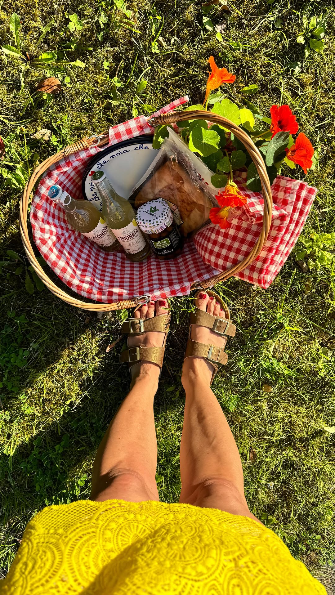 Instagram post by @romina_condemi for italia.it. Caption reads: 🌼 Picnic di primavera 🌼
Nel cestino solo....
