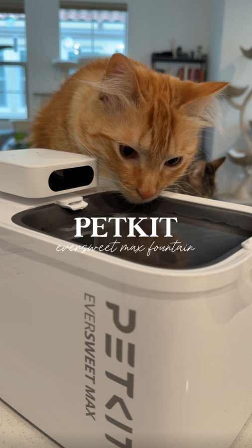 Instagram post by an influencer for PETKIT US. Caption reads: [...] our cat fountain to the @petkitus Eversweet....