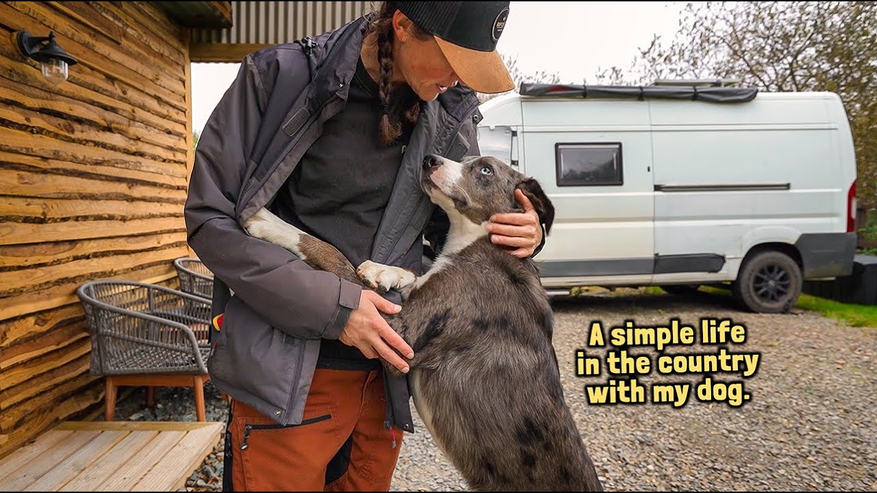 YouTube post by @campervibe for yfood. Caption reads: A second chance at a better life - alone with new....