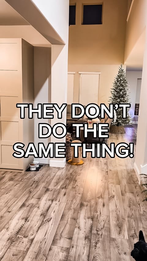 Instagram post by @cleantokcary for Levoit. Caption reads: If you’re on the fence, here are the facts and....