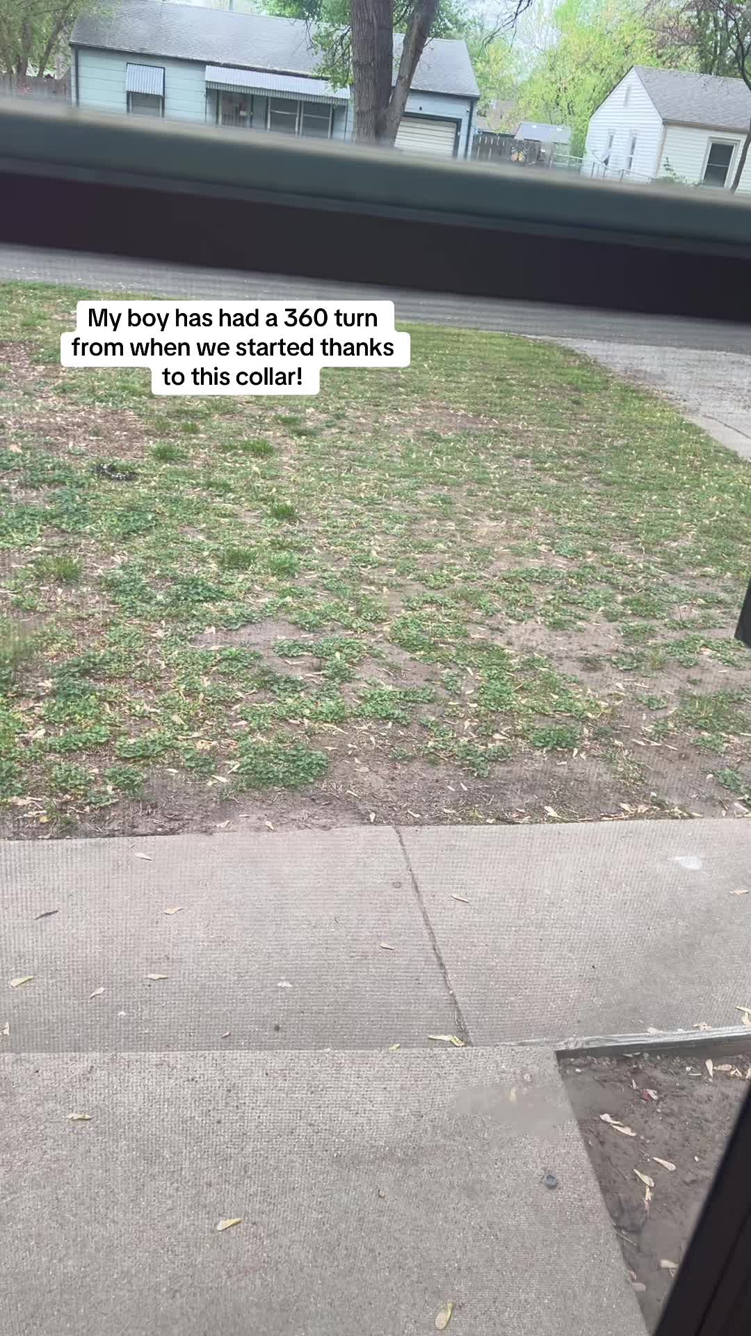 TikTok post by @jordanbriggans for Jugbow. Caption reads: [...] its made training 40x easier. Thank you....