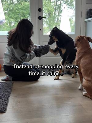 TikTok post by @charlieandapollo for Muddy Mat. Caption reads: Rainy day dog mom hack☔️🌂@Muddy Mat....