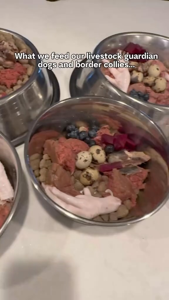 Instagram post by @raventreeranch for Viva Raw. Caption reads: [...] is we feed a varied diet and adding in Viva....